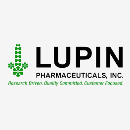 Lupin